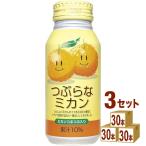 JAフーズおおいた つぶらなミカン 缶 190ml×30本×3ケース (90本)