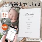 | самый короткий этот день отправка | жизнь название документ жизнь название бумага заказ название inserting жизнь название панель парусина принт SSM размер 227×227mm высокое качество izmi большой si балка s baby рождение память 