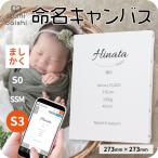 | самый короткий этот день отправка | жизнь название документ жизнь название бумага заказ название inserting жизнь название панель парусина принт S3 размер 273×273mm высокое качество izmi большой si балка s baby рождение память 