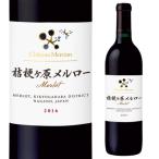 �֥磻�� ����ȡ���륷��� �˹����������� 2016ǯ Ĺ� ���ܥ磻�� �񻺥磻�� �ɸ� �ե�ܥǥ� �����磻�� ���ե�