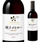 ����ȡ� ��륷��� �л� ������ (2019) �֥磻�� Ĺ�� ���ܥ磻�� �񻺥磻�� �ޥꥳ������䡼��