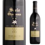 5/4~5限定 全品P3倍 赤ワイン エーデルワイン ゼーレ オオハサマラタイ 樽熟成 2019 750ml プレゼント 岩手県 日本ワイン 国産ワイン 中重口 長S