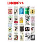 日本全国20種類 カップ酒 セット 商品説明付 送料無料 20本 日本酒 地酒 飲み比べ 長S
