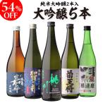 父の日 ギフト 2024 日本酒セット 720ml ギフト 飲み比べ 5本 辛口 純米大吟醸酒 大吟醸酒 送料無料 ギフト RSL