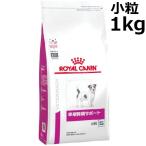 ロイヤルカナン 犬 早期腎臓サポー�