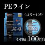 PEC@100m@4{ҁ@0.2@0.4@0.6@0.8@1@1.2@1.5@2@2.5@3@3.5@4@5@6@7@8@9@10@ނ@100[g