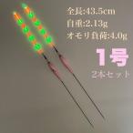 2本セット 棒ウキ 1号 9点発光 高感度LEDヘラウキ 電気ウキ 夜釣り対応 海釣り 淡水兼用 AJ08