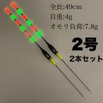 2本セット　棒ウキ　2号　6点発光　ヘラウキ　へらうき　電気ウキ DW060