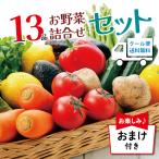 ショッピング野菜 ｜送料無料｜１３品以上 おまけ付き 野菜詰め合わせ ｜ 野菜セット 詰め合わせ 新潟 旬 野菜 フルーツ