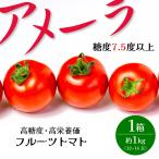  высота сахар раз фрукты помидор Ame -la помидор ... превосходящий товар примерно 1kg 1 коробка подарок .. товар для подарок на Bon Festival подарок по случаю конца года Honshu бесплатная доставка 