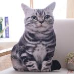 猫 リアル 特大 大きい 50cm サイズ CAT ぬいぐるみ ブリティッシュショートヘアー アメリカンショートヘア 茶トラ 枕 抱き枕 ぬいぐるみ抱き枕