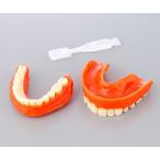 尊体用義歯　エンゼルデンチャー　1セット