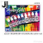 Jacquard　（ジャカード）社製　ピニャータ　アルコールインク　エキサイターパック（ビビッドトーン）　9色パック　Pinata Alcohol Ink