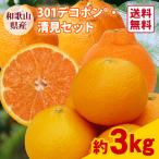 ショッピングデコポン 【送料無料】301デコポン・清見セット 約3kg 1箱 木熟301デコポン 光センサー選別 不知火 しらぬひ 清見オレンジ きよみ