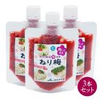 【送料無料】【ポスト投函】紀州南高梅使用ねり梅　梅しそ風味　120g×3本　しそ味　ねり梅　チューブタイプ　紀州南高梅