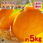 ショッピングデコポン みかん 木熟 デコポン 約5kg 18〜20玉入り 1箱 秀品 送料無料 人気 おすすめ 光センサー選別 不知火 しらぬひ