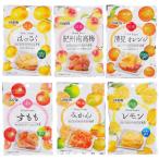 ドライフルーツ6種類お試しセット 和歌山県産 紀州南高梅 清見オレンジ はっさく みかん レモン すもも 国産ドライフルーツ