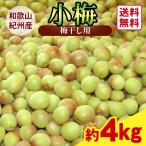 送料無料 梅干し用 紀州産小梅 2Lサイズ 約4kg 1箱 〜和歌山県の農協JA紀南より安全安心な小梅をお届けします