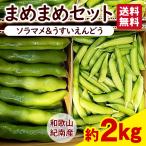 まめまめセット　送料無料　和歌山県産　まめまめセット　ソラマメ＆うすいえんどう(紀州うすい)  約2kg 2種類のまめを楽しめます　4月中旬より順次発送　