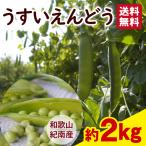 うすいえんどう　送料無料　和歌山県産　「紀州うすい（うすいえんどう）」  約2kg 甘みがありふっくらとした食感　4月中旬より順次発送　