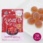 【送料無料】【ポスト投函】うめぼ
