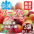 氷梅 冷凍パープルクィーン(梅酒・梅ジュース用) 400g×3袋(計1.2kg) 〜冷凍梅 紀州産小梅 パープルクイーン 6/24以降の発送となります。