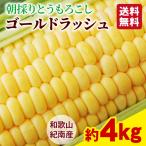 トウモロコシ 和歌山県とんだ産 朝採りとうもろこし ゴールドラッシュ 約4kg 10〜12本×1箱 送料無料 プレゼント ギフト 生で食べられる甘い玉蜀黍
