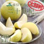 梨 二十世紀 【太鼓判】約2.2kg(7玉) Y231 ※9月上旬〜発送予定 20世紀 なし ナシ セット フルーツ