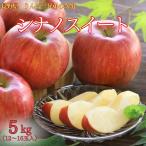 りんご シナノスイート【秀品】約5kg(12〜16玉) Y313※10月中旬〜発送予定 送料無料 内祝い フルーツギフト 林檎 リンゴ 5kg