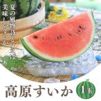  высота ....A и т.п. класс 2L( примерно 7kg) 1 шар входить Y709 JA Matsumoto Highland производство 7 месяц последняя декада ~ отправка прекрасный тест .. фрукты .. было использовано фрукты . средний изначальный 