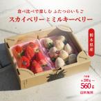 ショッピングいちご 紅白いちご スカイベリー＆ミルキーベリー 各280g×2パック 合計約560g イチゴ 苺 送料無料 オリジナルパック＆箱入り 冷蔵便 5115FARM JA佐野