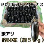 訳アリ 漬物用 加工用 ナス 約60本 5kg 栃木県産 千両二号 家庭用