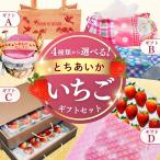 [3880 иен ~] можно выбрать . подарок Tochigi префектура производство ..... использование подарок подарок JA.. клубника бесплатная доставка ( АО ) der Toro ima-