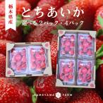 [3200 иен ~]..... можно выбрать 2 емкость 560g~1120g Tochigi префектура производство клубника . клубника подарок для бытового использования .. для бесплатная доставка рефрижератор рейс JA.. Kameyama сельское хозяйство .