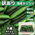 きゅうり 大量 5kg 酒のつまみに最高 不揃い 訳アリ キュウリ 約45から60本入 キュウリCS 産地直送 新鮮野菜 漬物 サラダ
