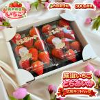 [ новинка ]. дом ... тщательно отобранный клубника ..... крупный подарок упаковка 1 упаковка 9 шарик ×2 всего примерно 600g перевозка соответствует tray использование Tochigi префектура производство рефрижератор рейс бесплатная доставка JA..