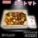 [ предварительный заказ заказ ] мини помидоры для бытового использования 1kg 1 kilo 5 вид передний и задний (до и после) набор .. мини помидоры подарок YUMERI FARM JA..