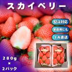 配送日時指定不可 栃木県産 イチゴ スカイベリー２パックセット  熨斗対応 いちご　クール送料無料 冷蔵便 スカイ2P