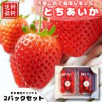  Tochigi префектура производство клубника ..... примерно 560g Takei сельское хозяйство .JA.. прямая поставка клубника . для бытового использования подарок тоже рефрижератор рейс бесплатная доставка 