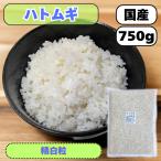 ハトムギ 国産 雑穀米 はとむぎ 産地は変動します 750g 大袋