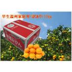 . сырой мандарин ( для бытового использования ) есть перевод примерно 10kg JA... юг производство земля .. прямая поставка [2025 год 11 месяц средний . распродажа конец ]