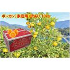 ショッピング訳あり ポンカン（家庭用）訳あり 10kg JAえひめ南 産地より直送【2026年1月9日販売開始】