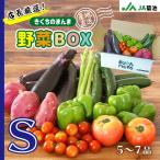 店長厳選！きくちのまんま野菜ボックス　S 野菜5〜7品目 とれたて新鮮 旬野菜 詰め合わせ 九州 熊本 JA