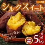JA阿蘇 西原産シルクスイート 秀 5kg 令和6年産 送料無料 芋 サツマイモ