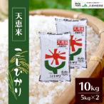 熊本県産 天恵米 10kg コシヒカリ お米 精米 白米 5kg×2袋  国産