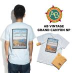 アメリカンバックカントリー American Backcountry 半袖Tシャツ ヴィンテージ グランドキャニオン ナショナルパーク | メンズ S-XL 国立公園