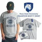 THE PENNSYLVANIA STATE UNIVERS