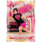 BBM 2009 P★LEAGUE カードセット 【Fairies ON THE LANE〜レーンの妖精たち】 レギュラー 16 片井文乃
