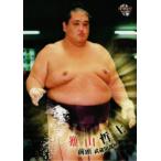 ショッピング大相撲 BBM 大相撲カード 2010 レギュラー 29 雅山 哲士