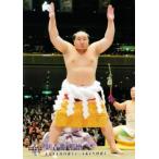 BBM 大相撲カード 2010 レギュラー 【連続写真＆手形パズル 朝青龍】83 朝青龍 明徳